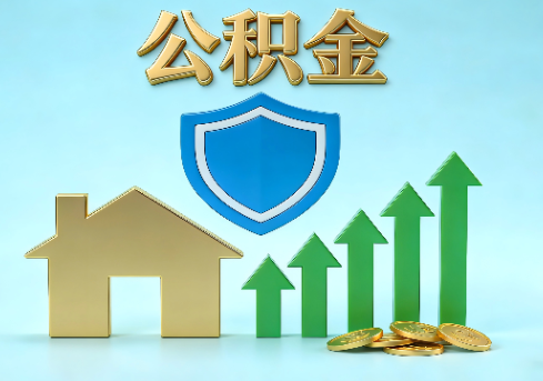 大兴安岭当前住房公积金提取条件分类指南与政策趋势